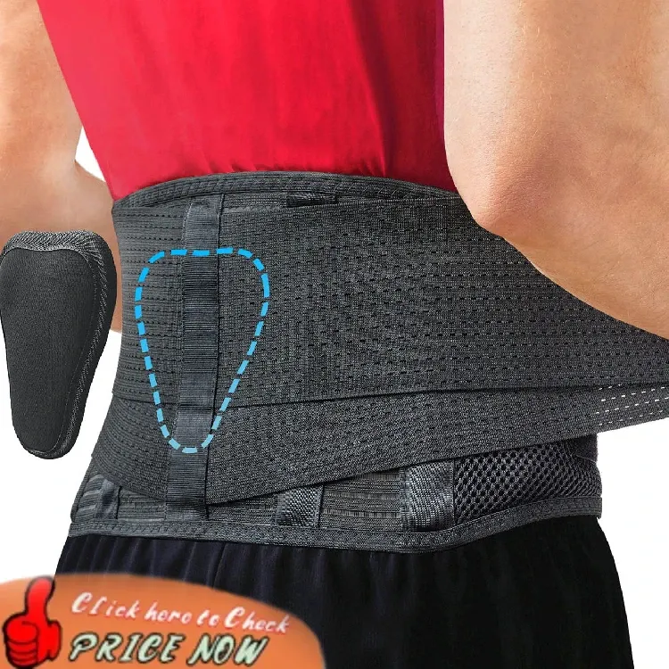 Sparthos Back Support For Lower Back Pain