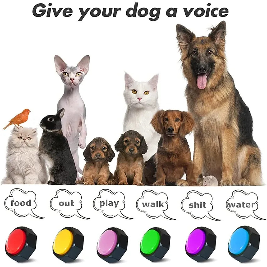 Top 3 Best Dog Talking Buttons Of 2023 - Reviews
