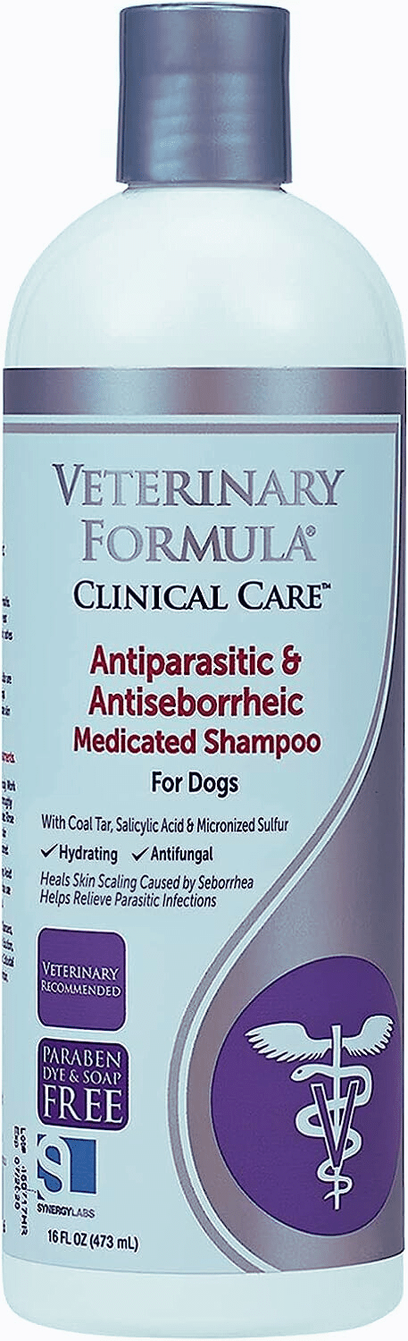 The Best Dog Shampoos for Itchy Skin: In-Depth Reviews of Top 3 Products